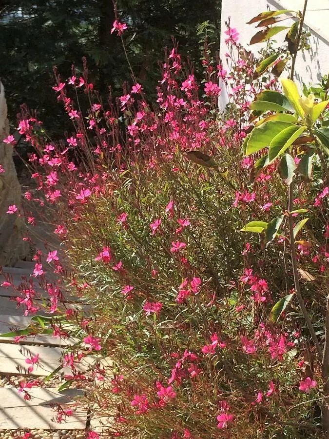 Lousoan Bed & Breakfast Aix-en-Provence