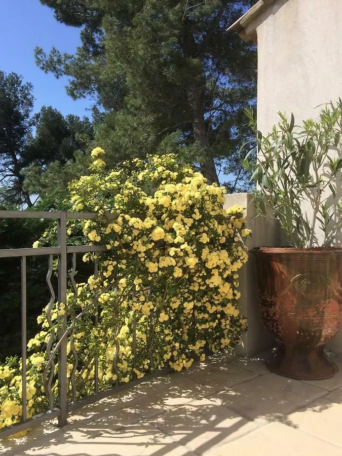 Lousoan Bed & Breakfast Aix-en-Provence
